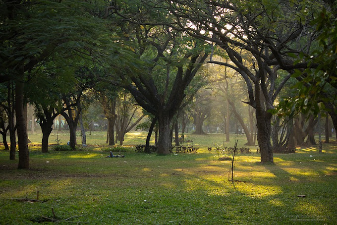Cubbon Park