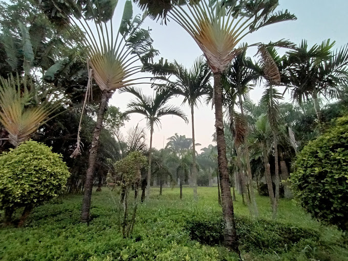 Jayaprakash Narayan Biodiversity Park