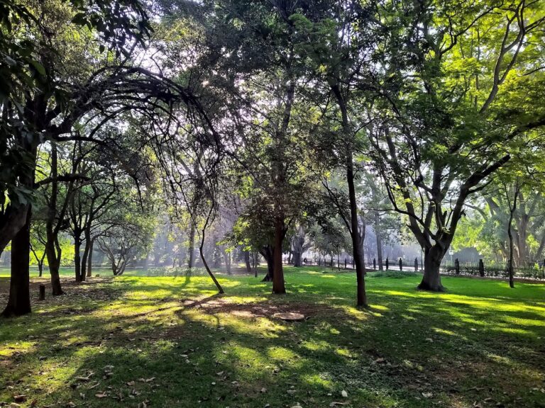 Cubbon Park