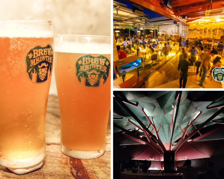 Brew Meister Craft Beer and Kitchen