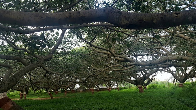 Nallurhalli Park